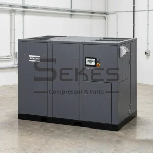 Atlas Copco GA 110 FF (3)