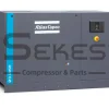 Atlas Copco GA 15 FF (1)