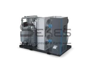 Atlas Copco GA 160 VSD⁺ FF (2)