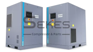 Atlas Copco GA 18 VSD GA 22 VSD FF
