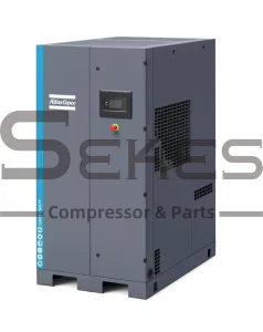 Atlas Copco GA 22 VSD FF (4)