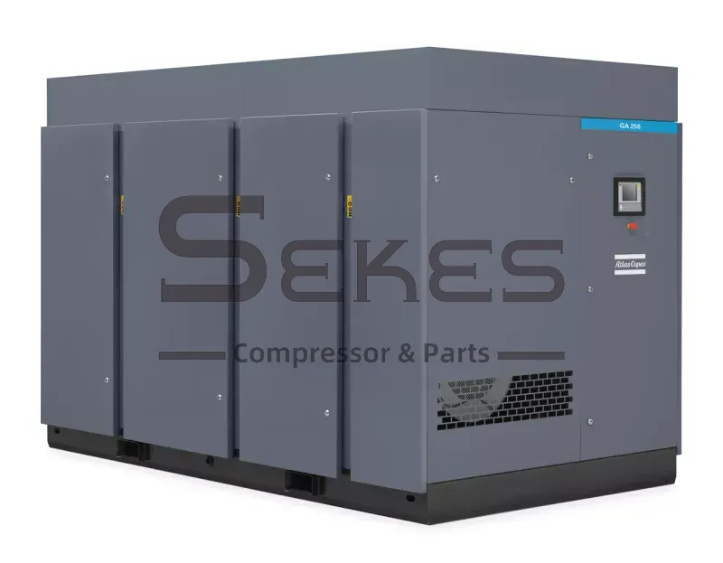 Atlas Copco GA 250 (1)