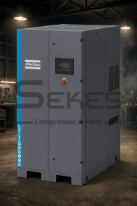 Atlas Copco GA 26 VSD FF (5)