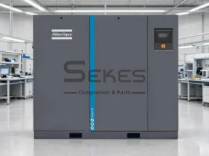Atlas Copco GA 55⁺ FF (1)