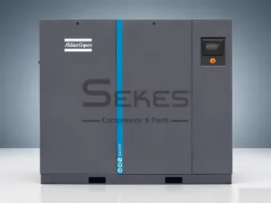 Atlas Copco GA 75⁺ FF (2)